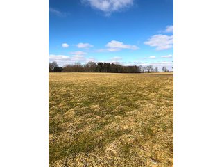 Property photo 1 - REAL ESTATE AUCTION - 30.5+/- ACRES IN 3 TRACTS IN KOSCIUSKO COUNTY, INDIANA
